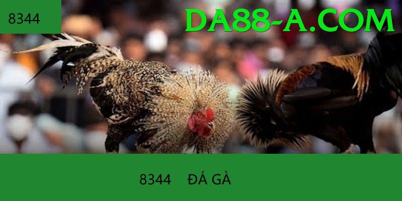 Trường Đấu Đá Gà Chuyên Nghiệp - FPS cao